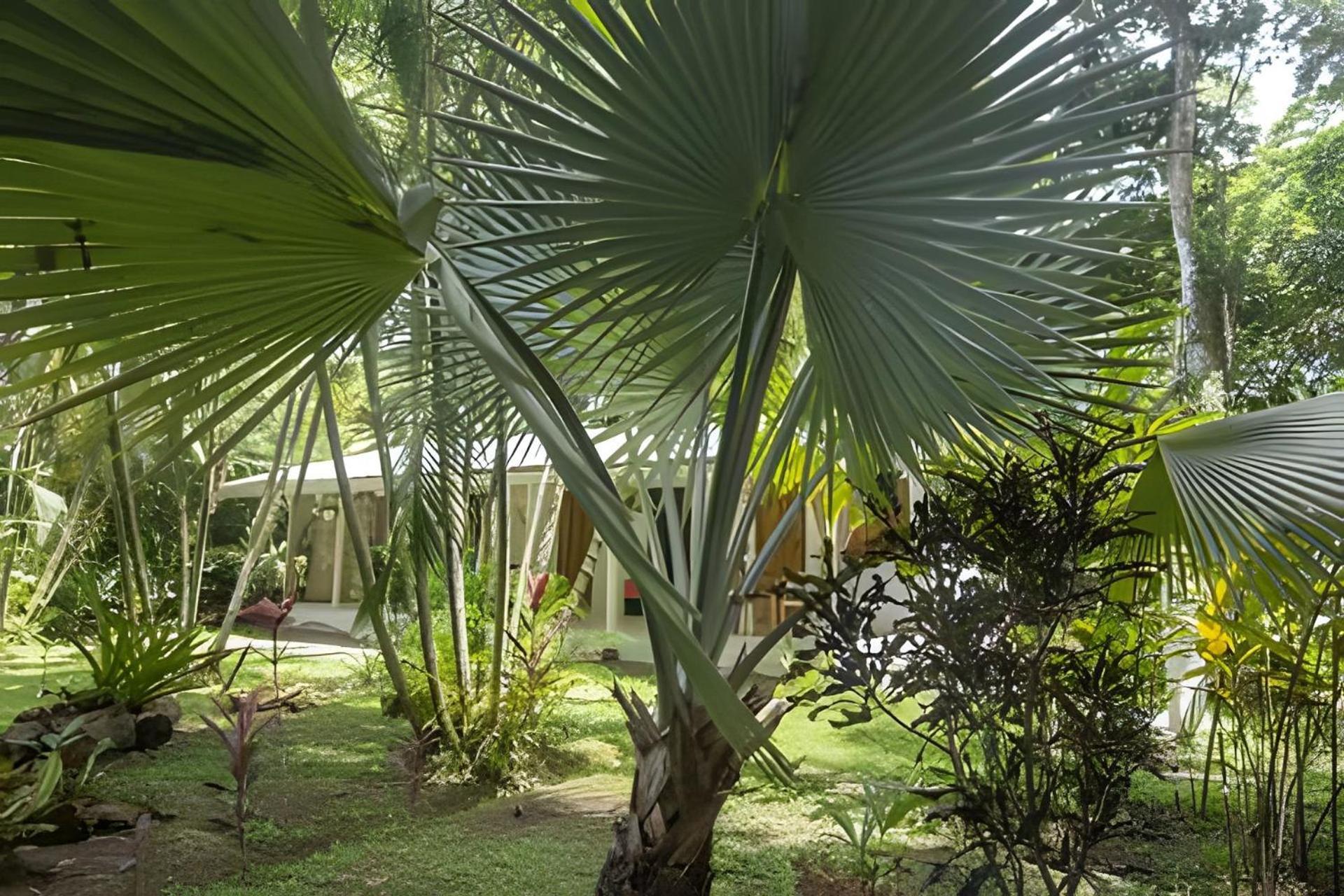 Vishraam House ~ A Pocos Pasos De La Playa Villa Cocles Ngoại thất bức ảnh